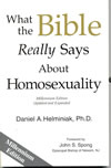 What the Bible Really Says About Homosexuality book image